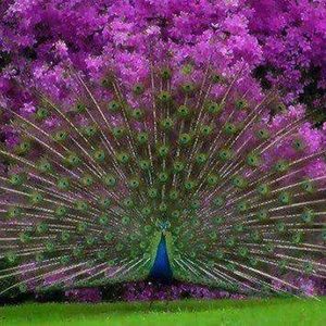 Meet your Posher, Mz Zz;